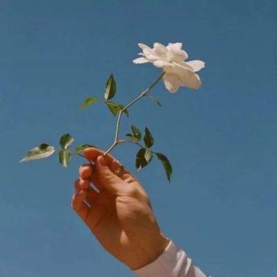 71771威尼斯.Cmapp下载